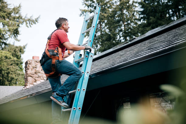 Best Storm Damage Roof Repair  in Naples Manor, FL